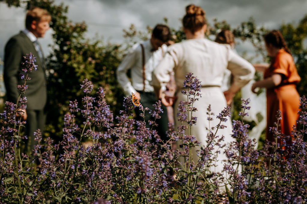 Bruiloftsgasten in mooie tuin met lavendel en vlinders